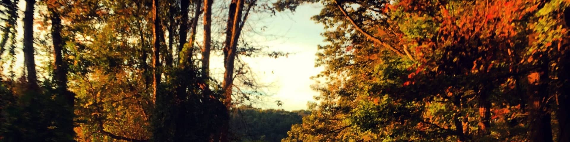 The drive down this road in the fall is absolutely beautiful!