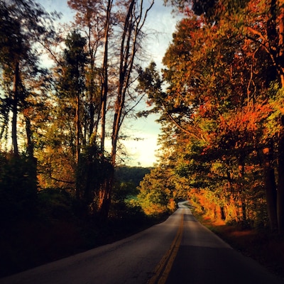 The drive down this road in the fall is absolutely beautiful!