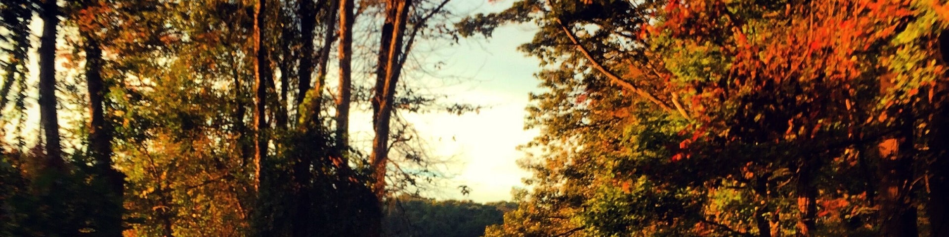 The drive down this road in the fall is absolutely beautiful!