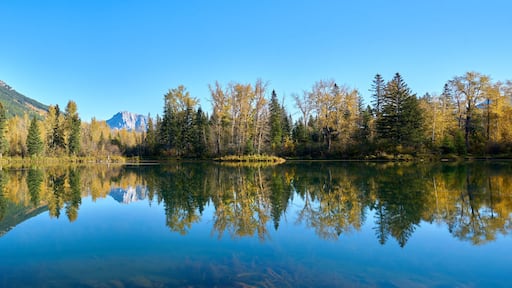 Maiden Lake Reflection Fernie British Columbia. A still, sunny day at Maiden Lake in Fernie BC in the Rocky Mountains.