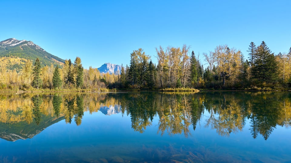 A calm lake reflecting trees and mountains.