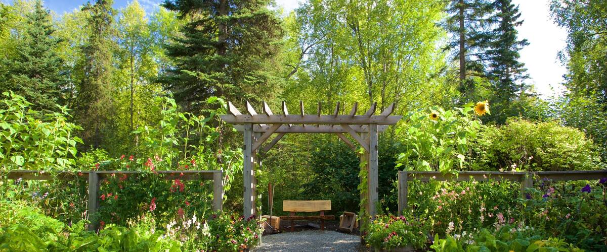 Alaska Botanical Garden mostrando un jardín