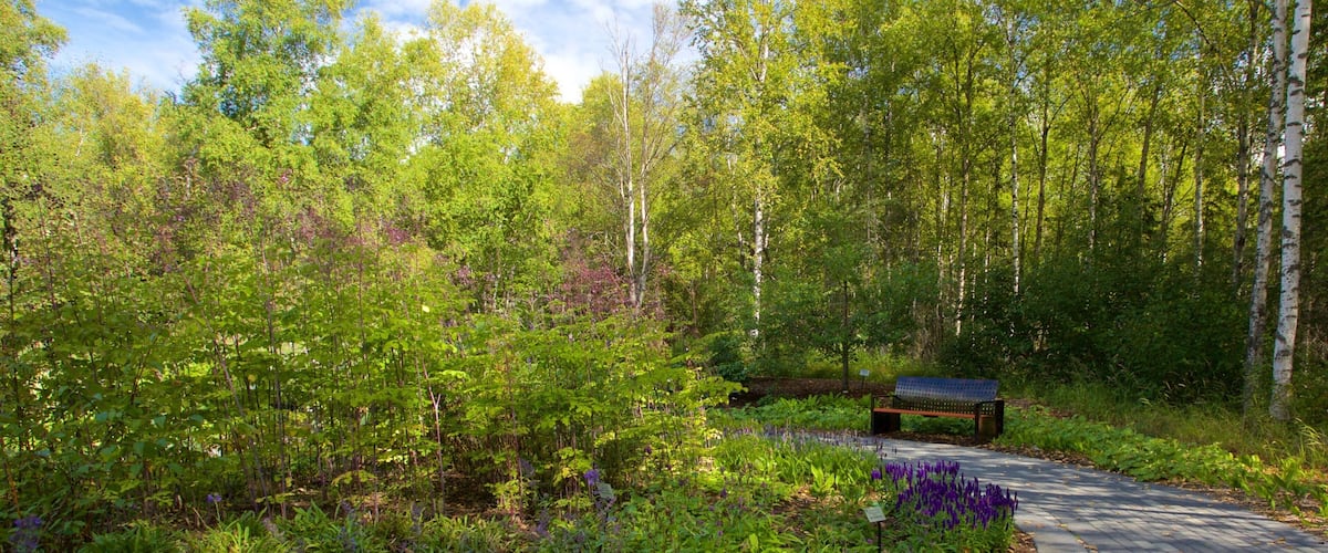 Jardin botanique, Alaska montrant parc et forĂȘts