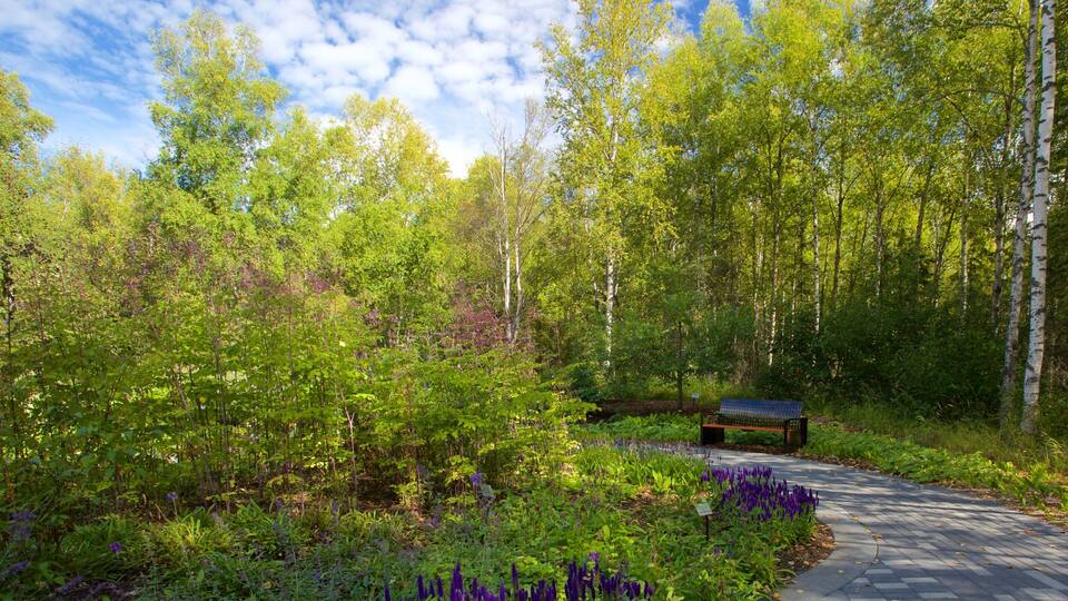 A forest with a paved path, a bench, and purple flowers.