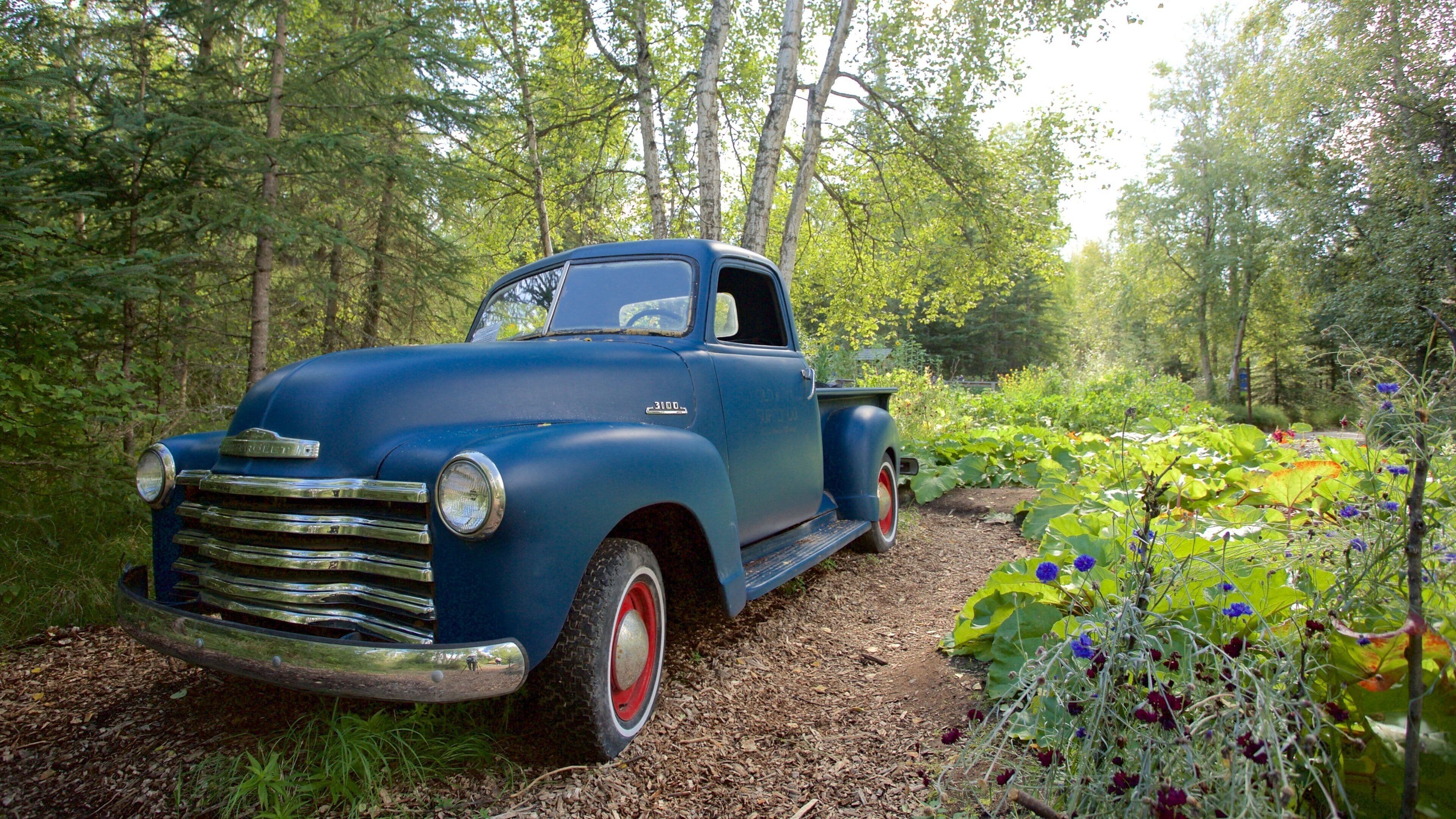 Jardin botanique, Alaska qui includes jardin et forêts