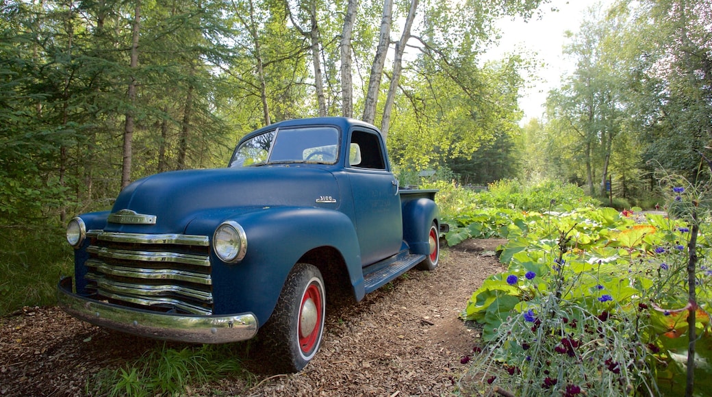 Jardin botanique, Alaska qui includes jardin et forĂȘts