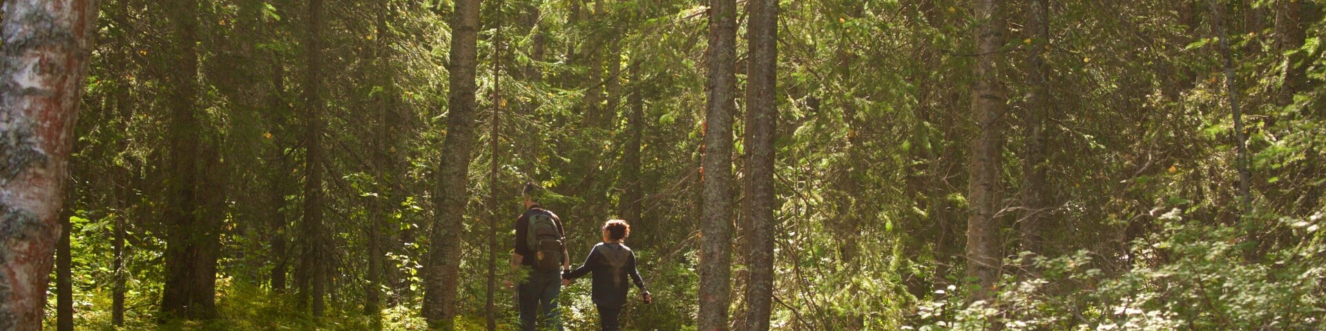 Alaska Botanical Garden which includes forests