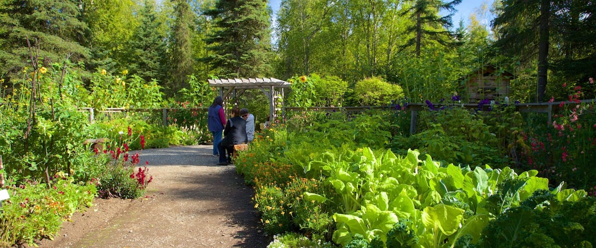 Jardin botanique, Alaska qui includes parc