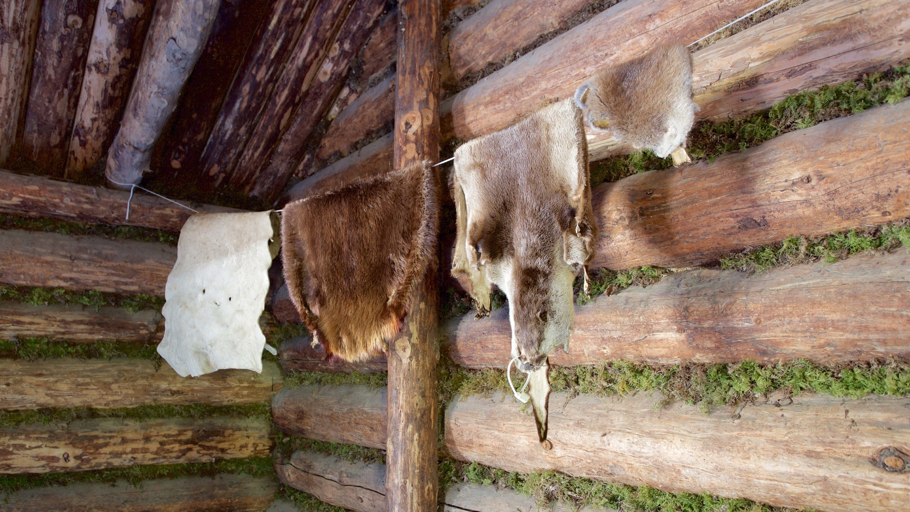 Alaska Native Heritage Center