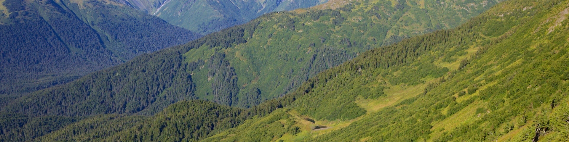 Anchorage