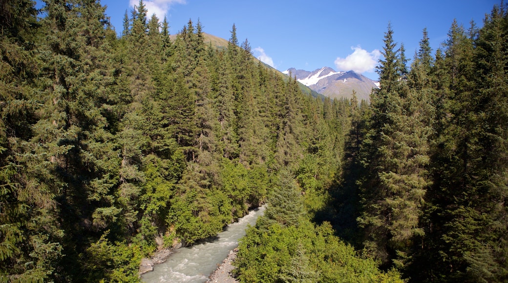 Anchorage which includes forests and a river or creek