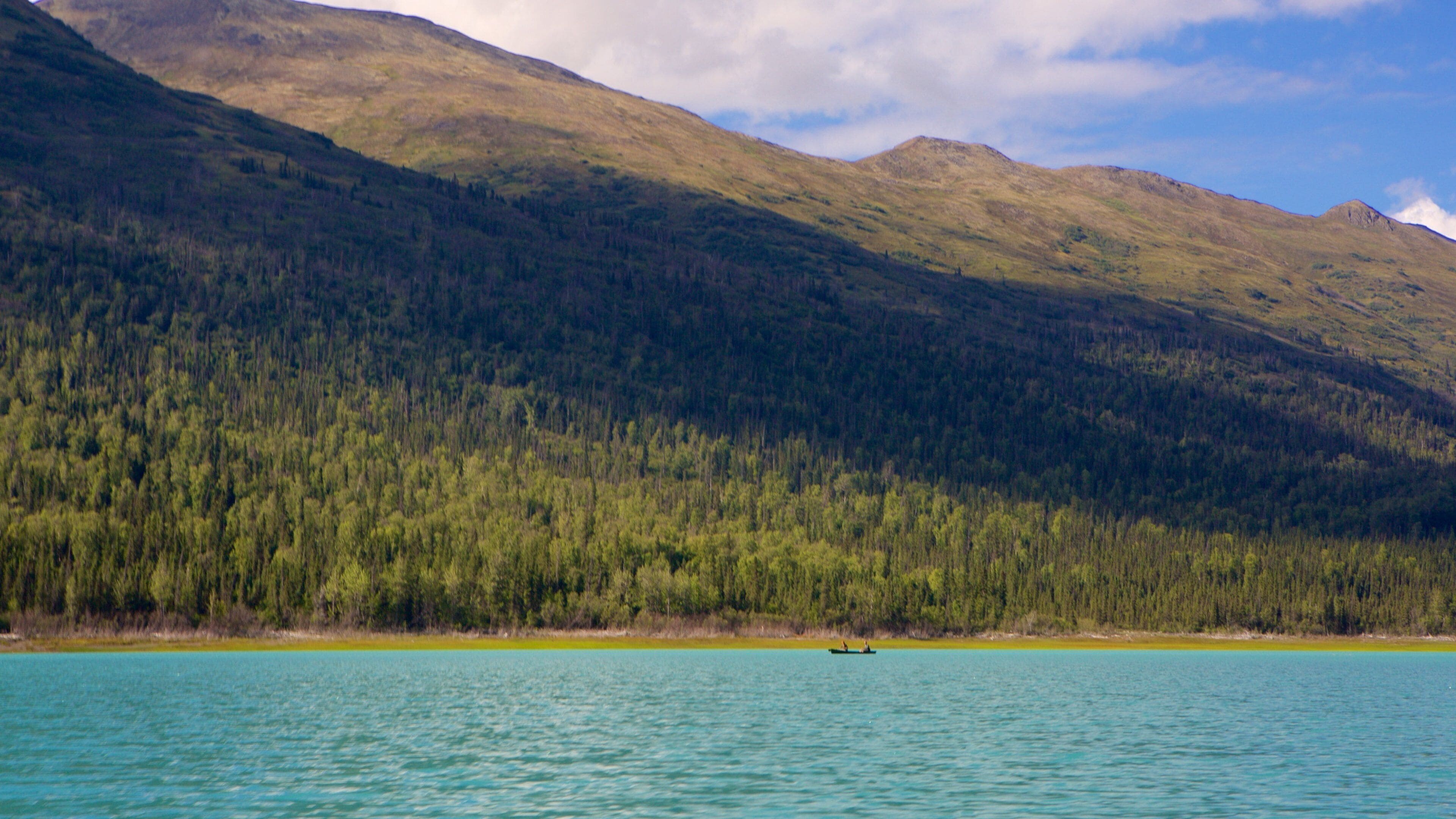 A lake with a forested mountain in the background.