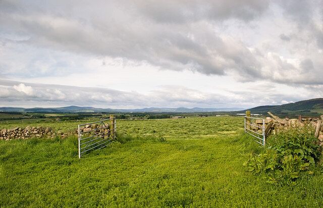 Fields near Northton