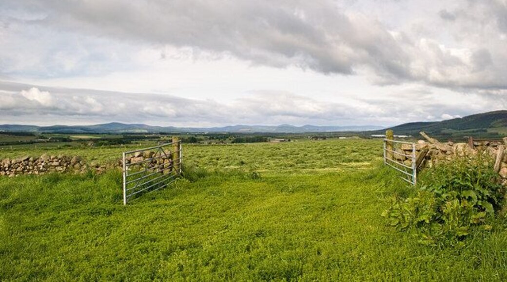 Fields near Northton