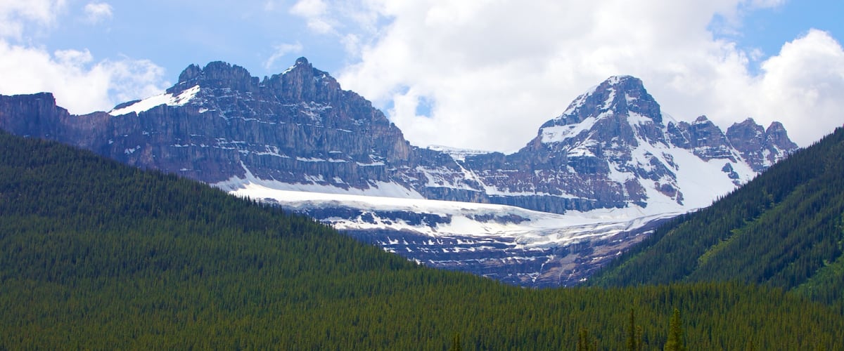 Columbia Icefield inclusief sneeuw, bergen en landschappen