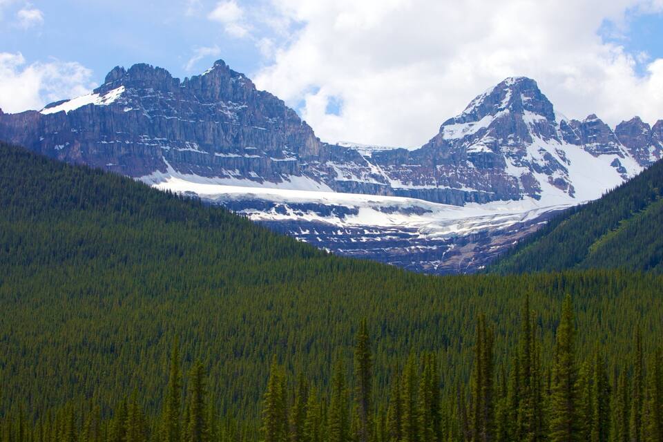 Un paysage montagneux caractérisé par de vastes forêts, des sommets enneigés et un glacier.