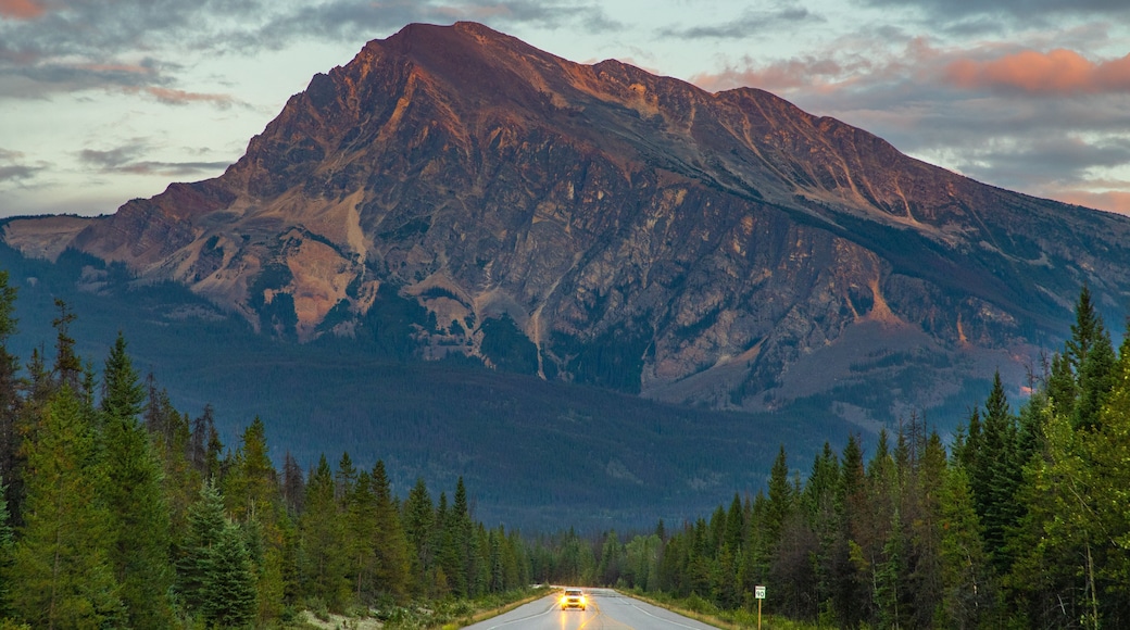 Icefields Parkway showing tranquil scenes, mountains and a sunset