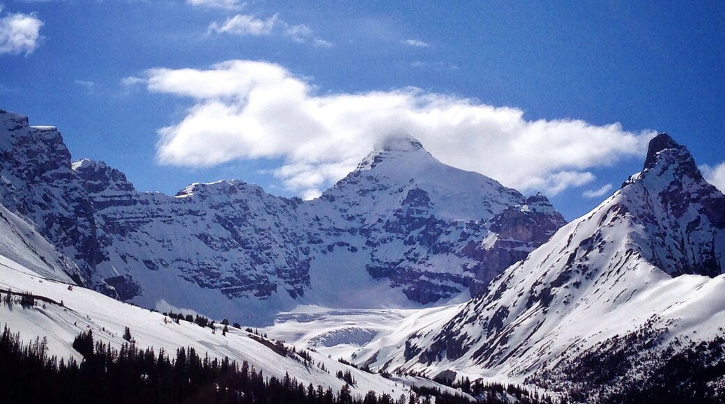 Approaching the Icefields are these spectacular mountains along the Icefield Parkway. Several slabs of snow were seen falling from the sides of the mountain.