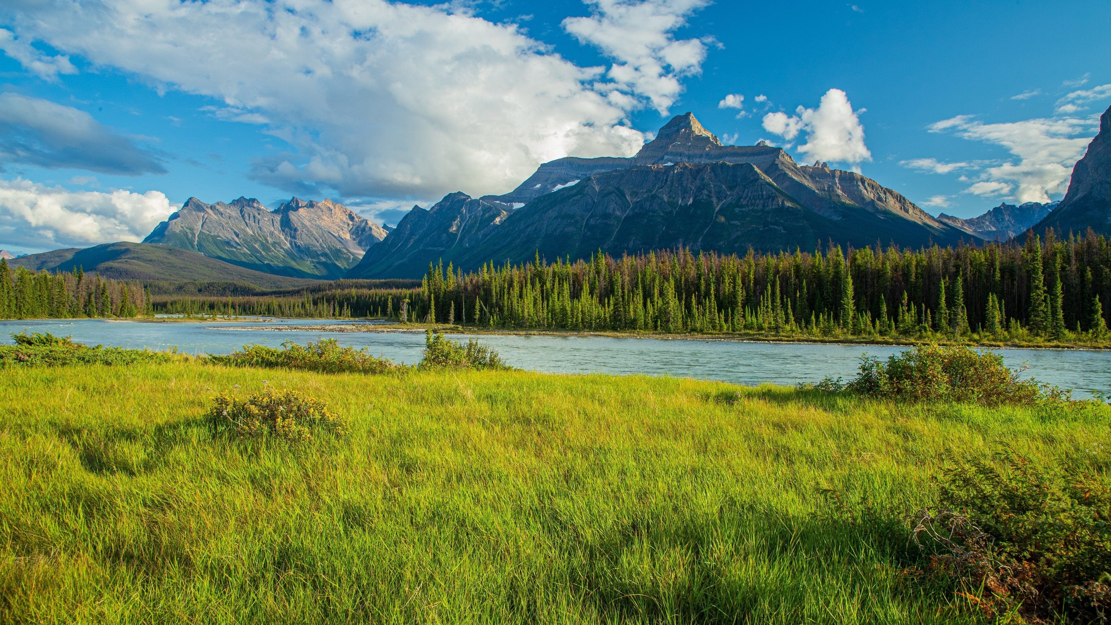 Icefields Parkway showing a river or creek, mountains and tranquil scenes