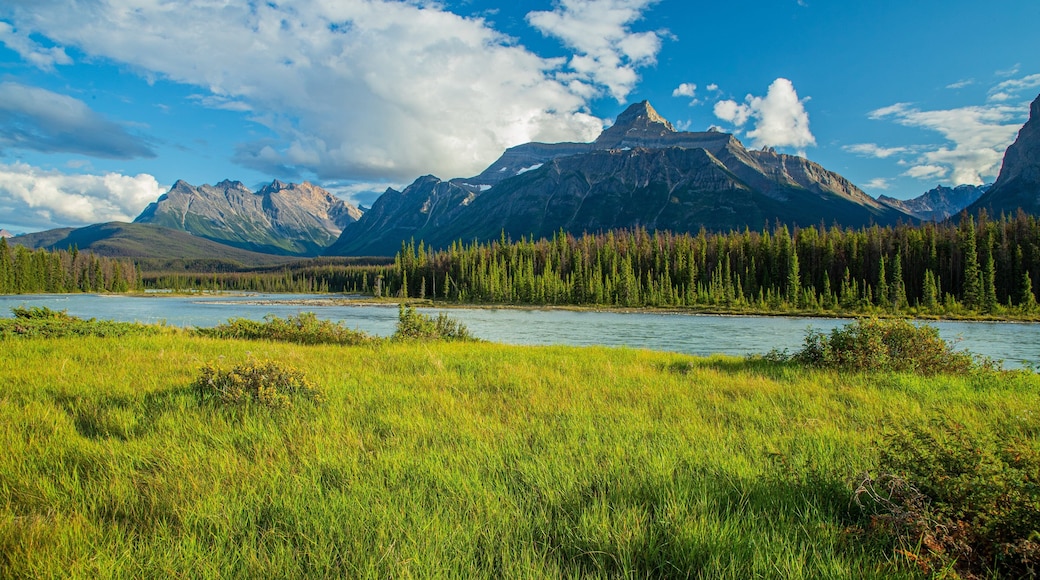 Icefields Parkway showing a river or creek, mountains and tranquil scenes