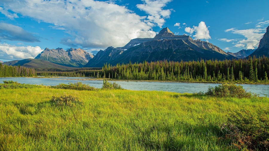 A river flowing through a grassy field with mountains in the background.