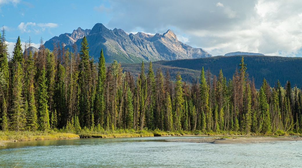 Icefields Parkway featuring mountains, a lake or waterhole and forest scenes