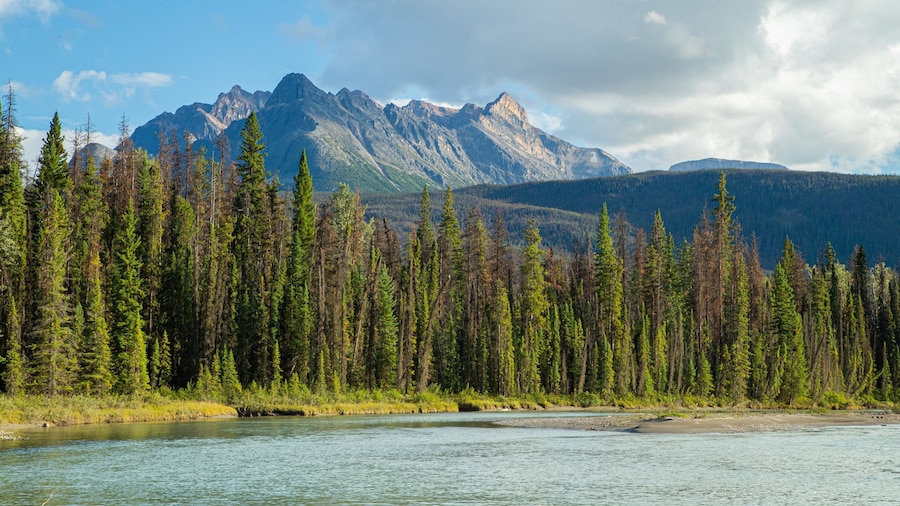 Icefields Parkway featuring mountains, a lake or waterhole and forest scenes