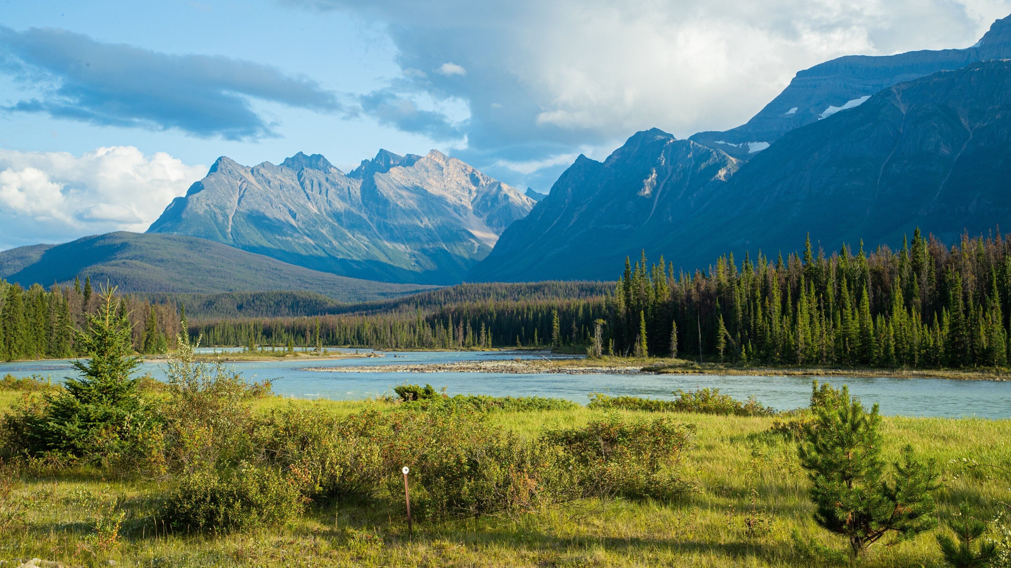 Icefields Parkway showing a river or creek, mountains and tranquil scenes