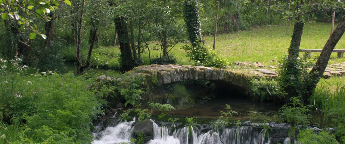 A stone bridge over a small stream in a lush green forest.