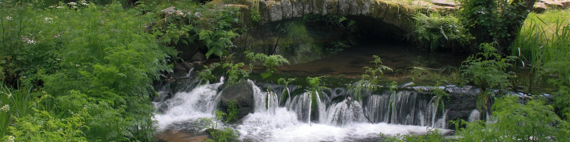 A stone bridge over a small stream in a lush green forest.