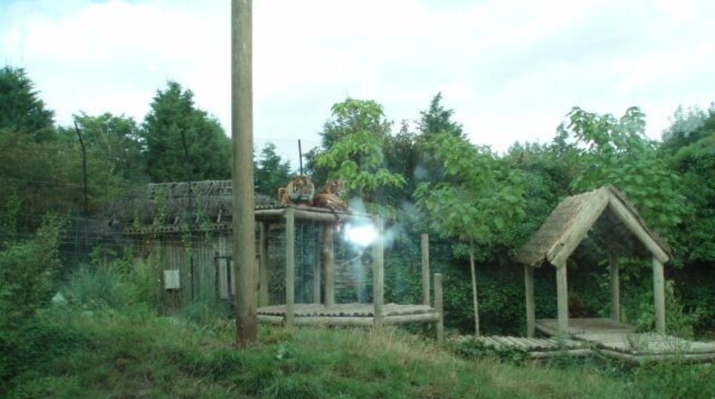 Lions Enclosure at Chessington Zoo Chessington Zoo is an attraction within Chessington World of adventures