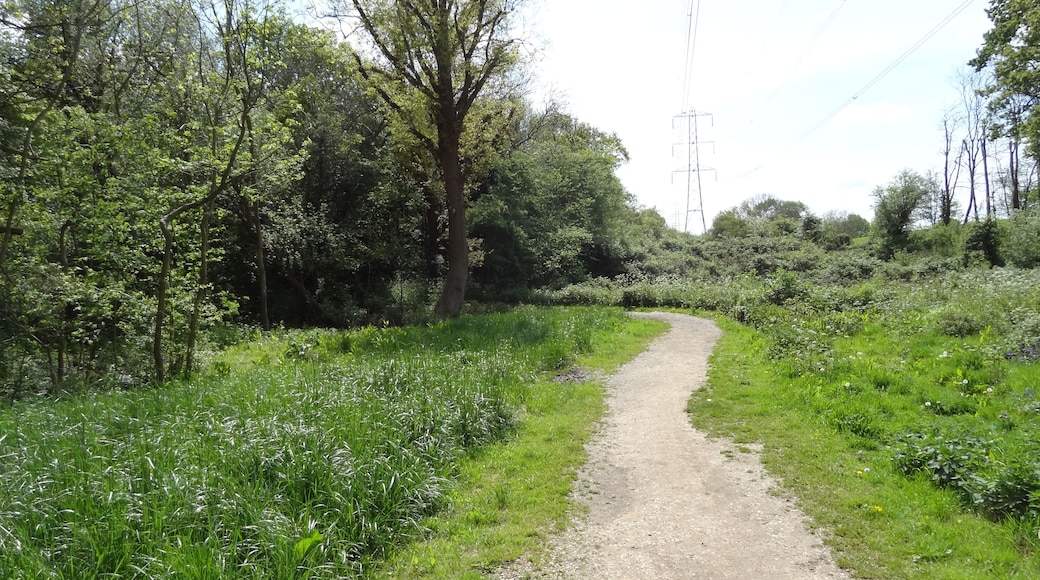 Castle Hill, nature reserve in Chessington, London