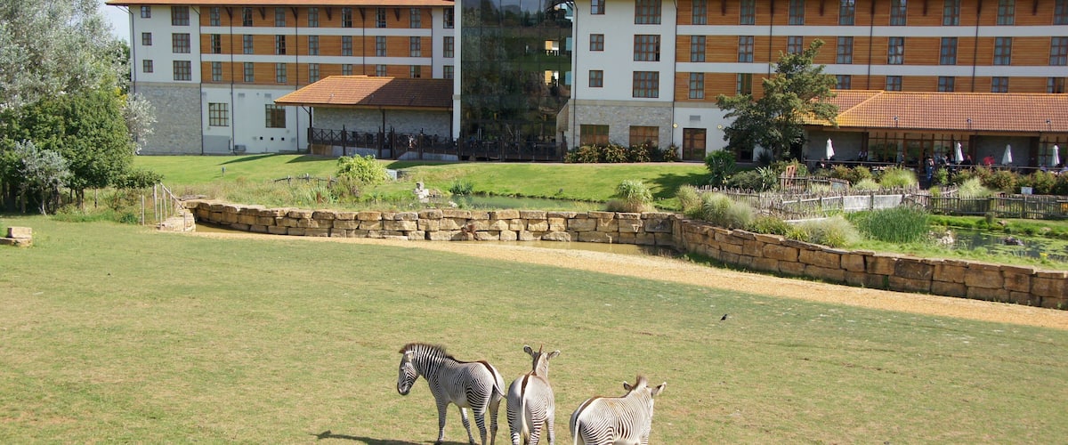Chessington World of Adventure and Zoo.
