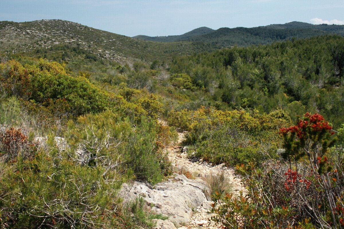 Parc Natural del Garraf