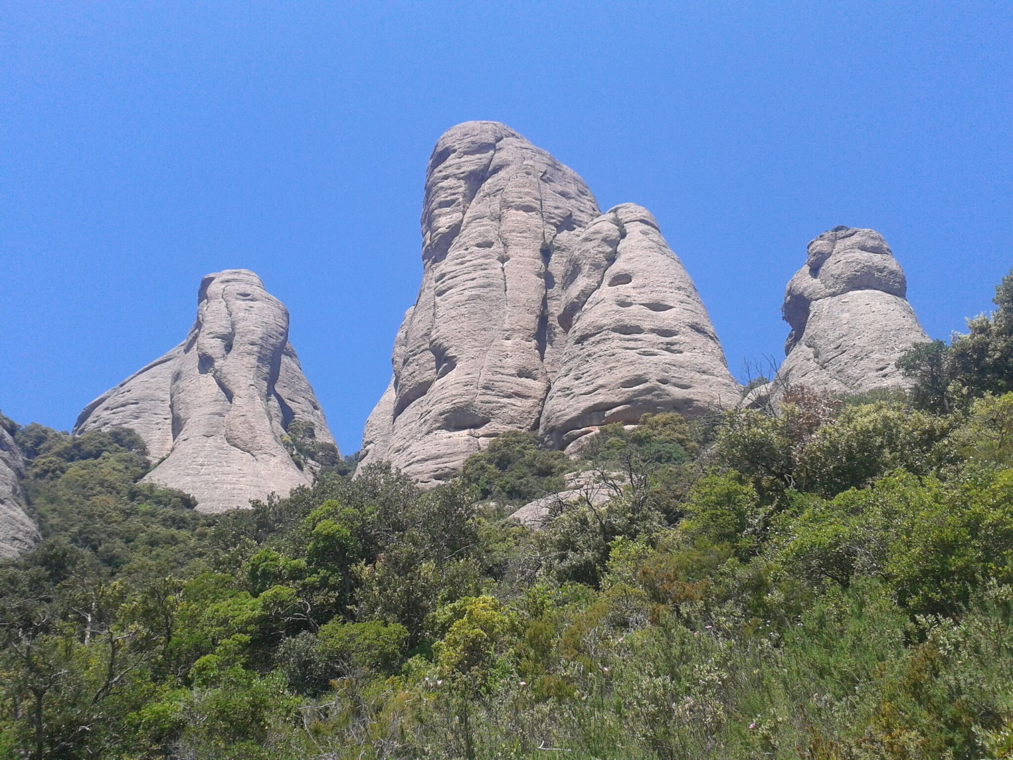 L'Elefant i la Mòmia (Montserrat)