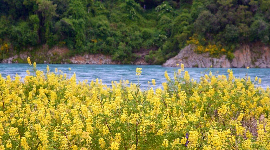 Rakaia Gorge which includes a lake or waterhole and wildflowers