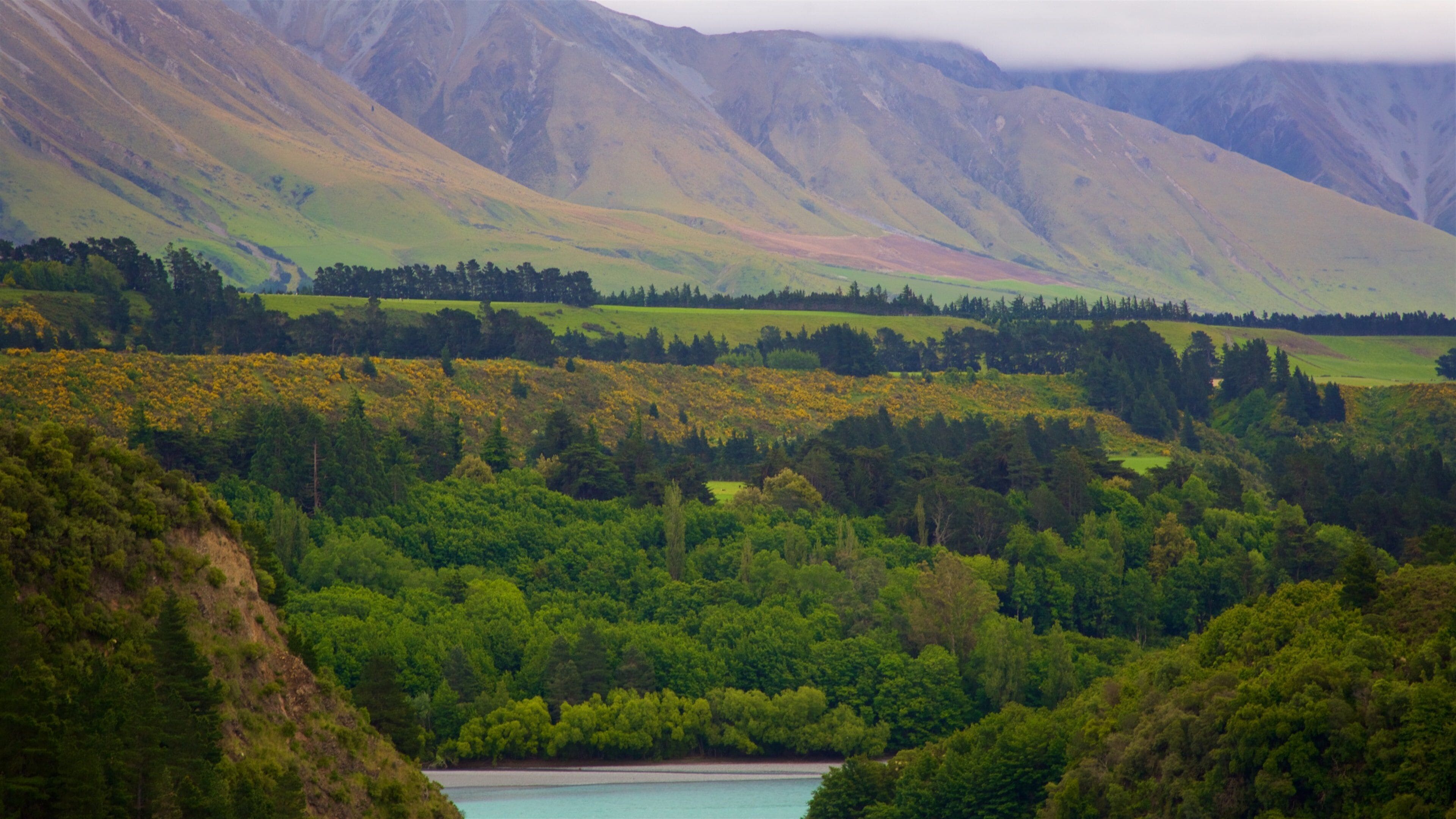 A valley with a lake surrounded by dense green forest and mountains in the background.