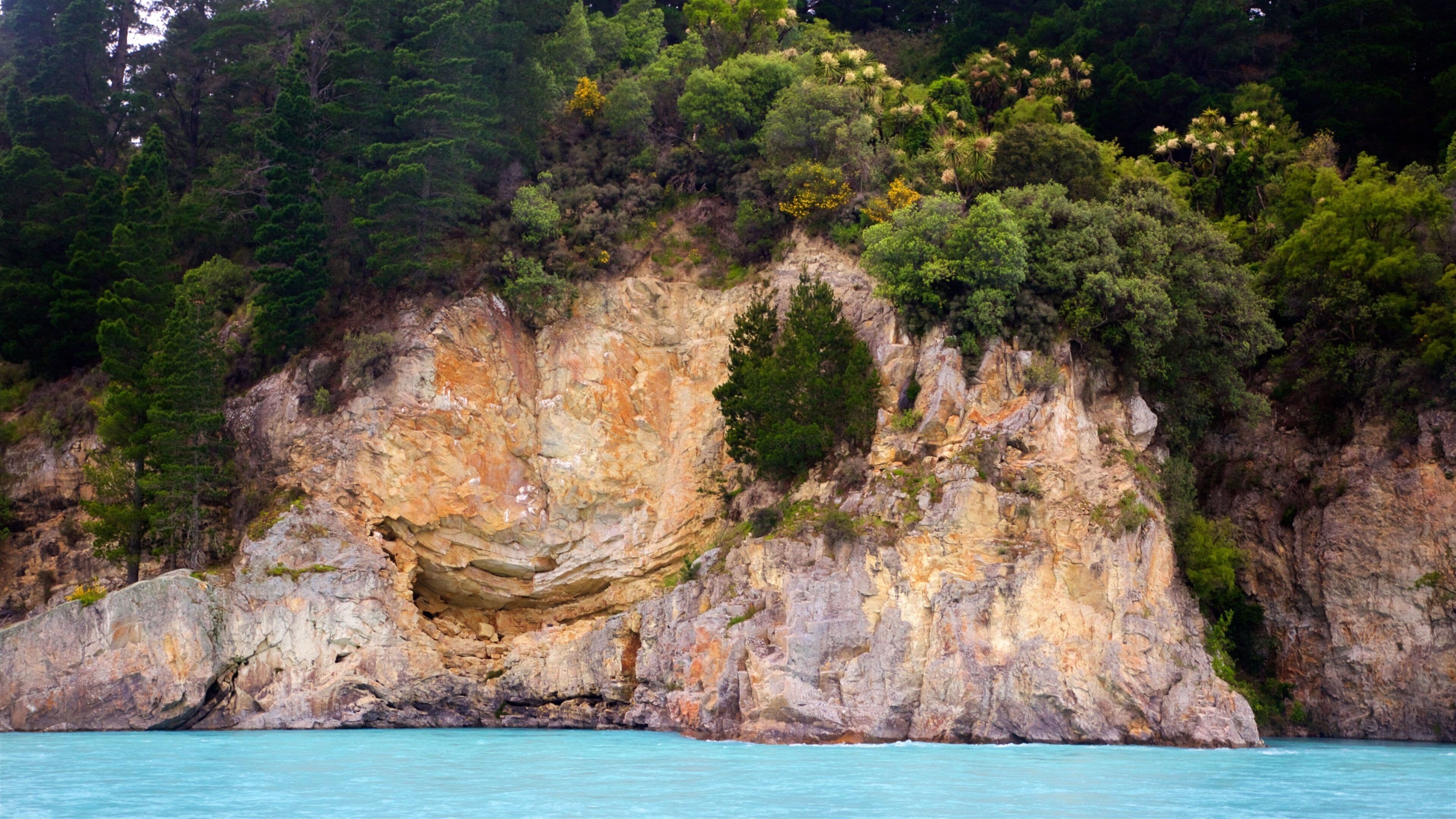 A coastal cliff with a cave entrance, surrounded by dense forest and clear turquoise waters.