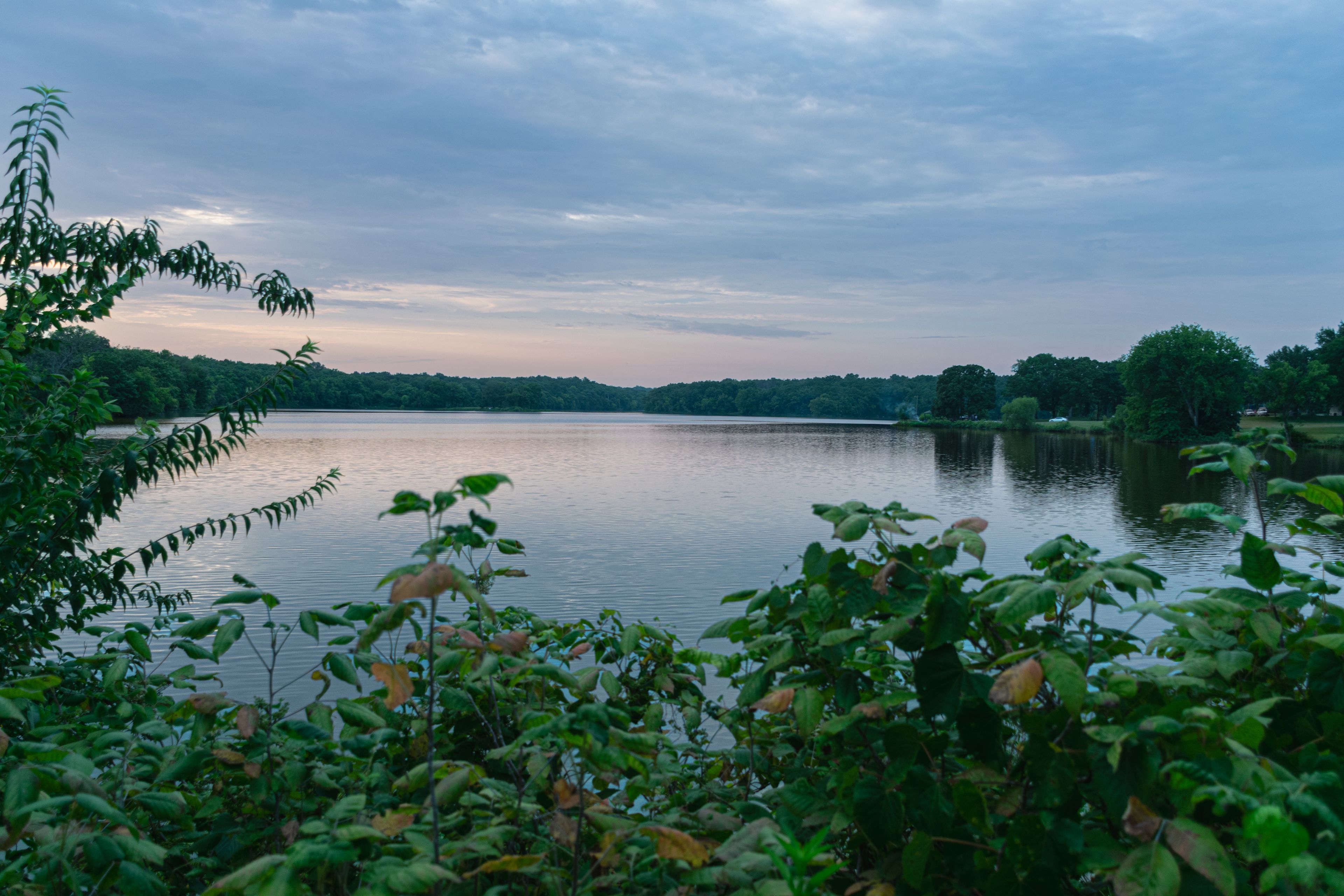 A calm lake surrounded by dense greenery and trees under a cloudy sky.