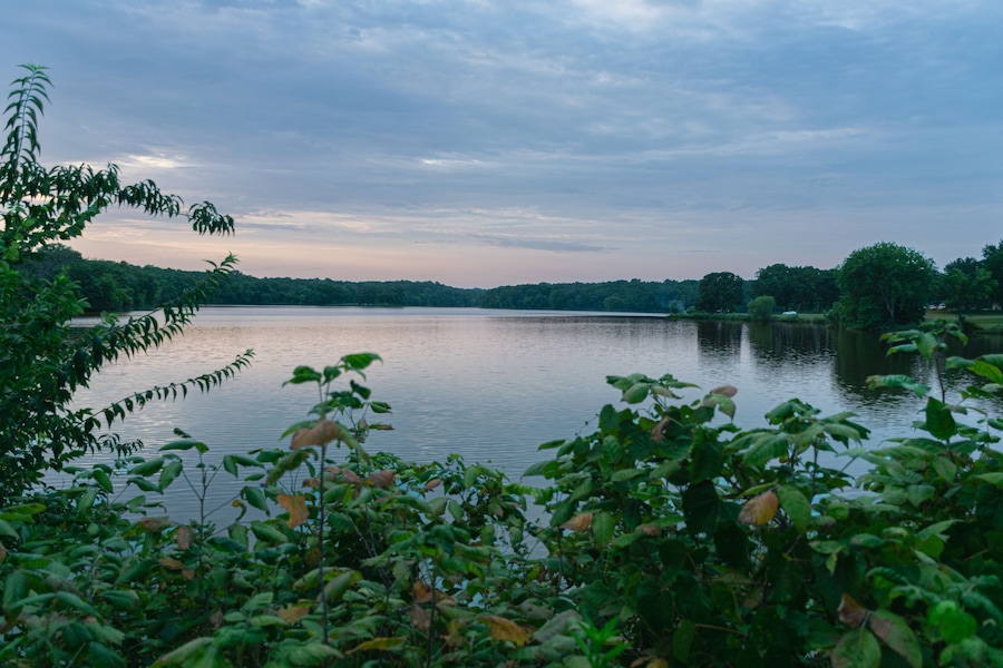 A calm lake surrounded by dense greenery and trees under a cloudy sky.