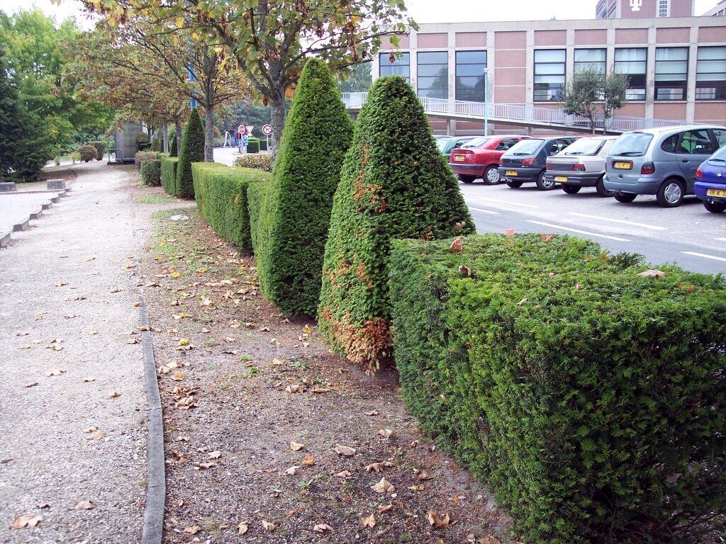 The Bordeaux University Park