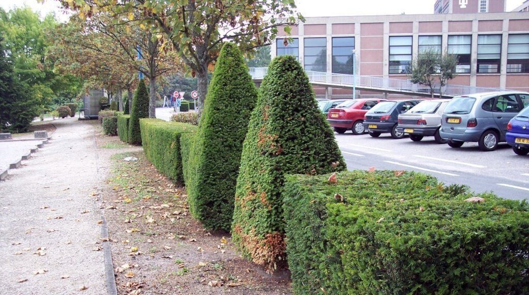 The Bordeaux University Park
