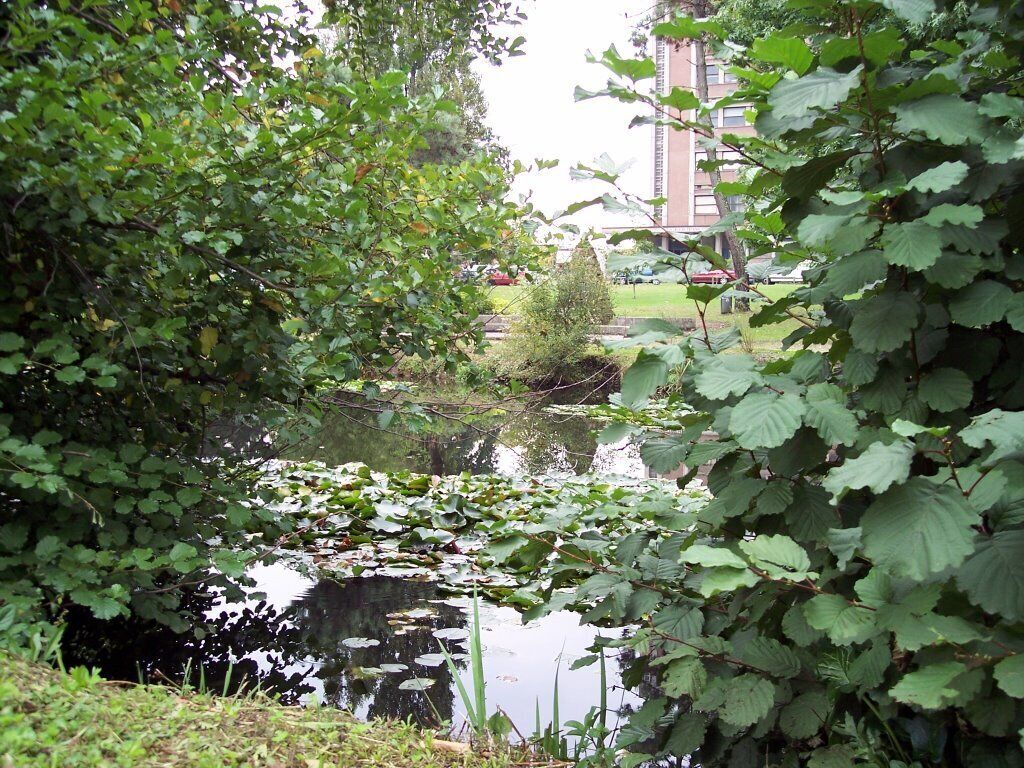 The Bordeaux University Lake