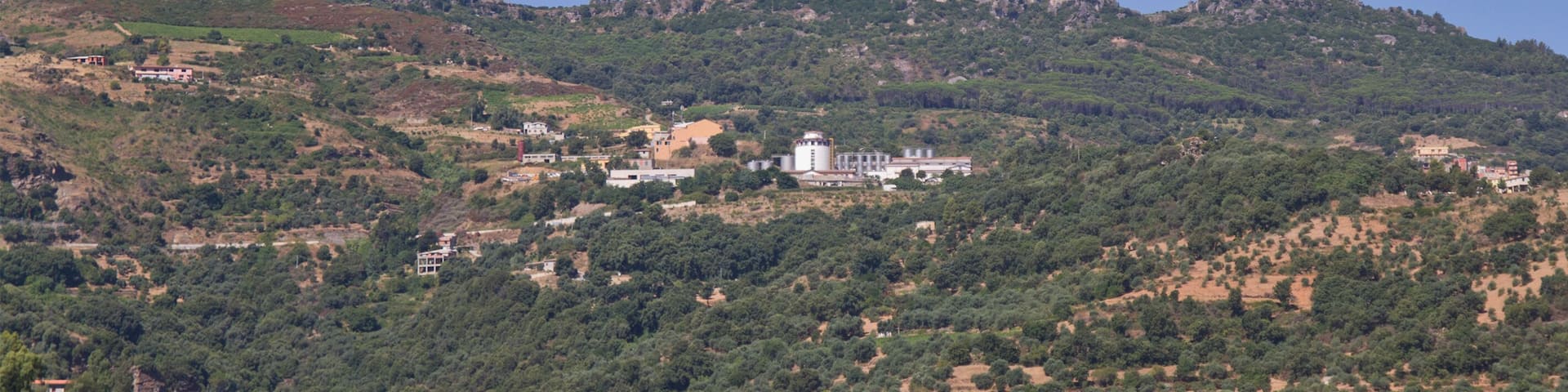 Vinery, Jerzu, Ogliastra, Sardinia, Italy