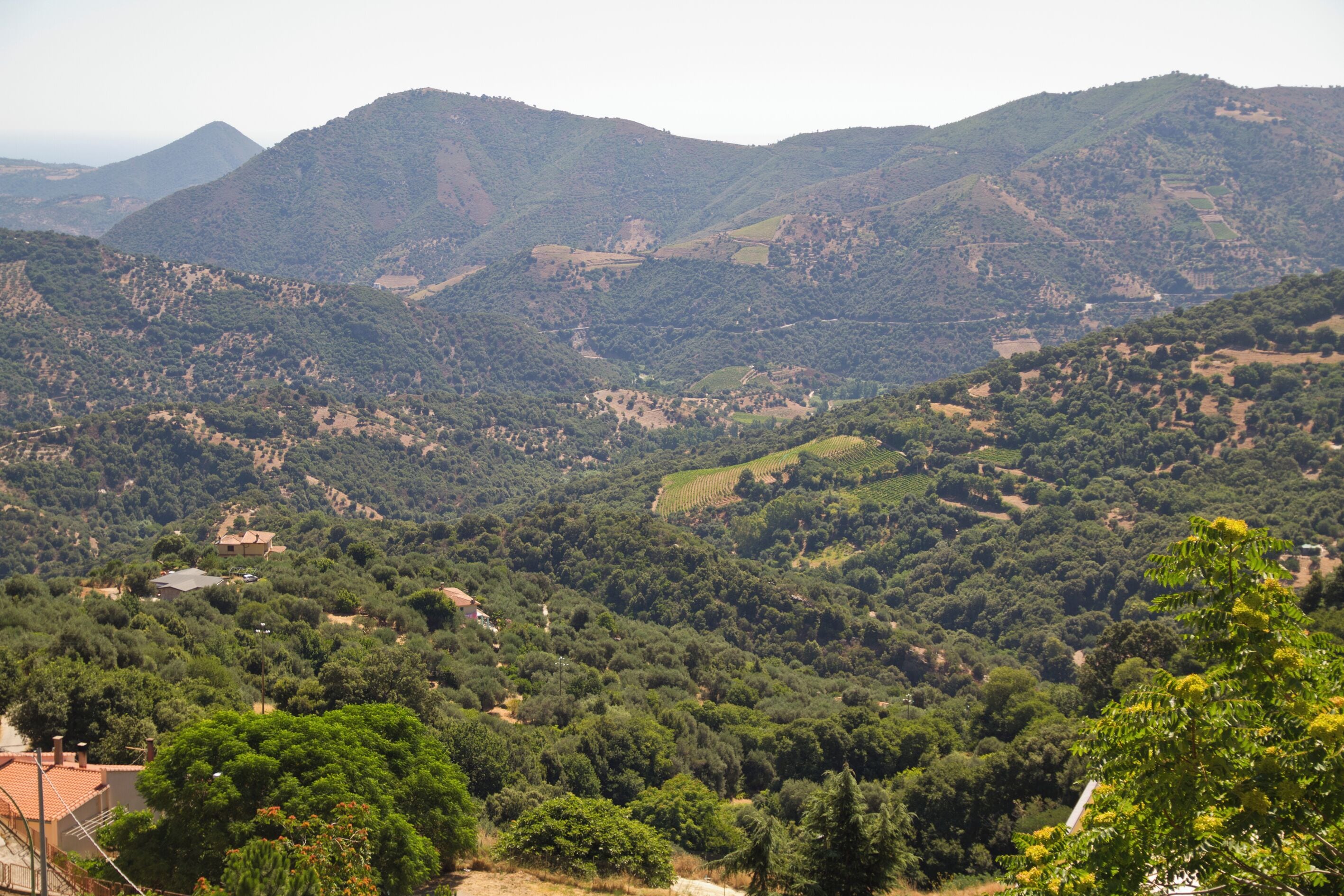 Jerzu, Ogliastra, Sardinia, Italy
