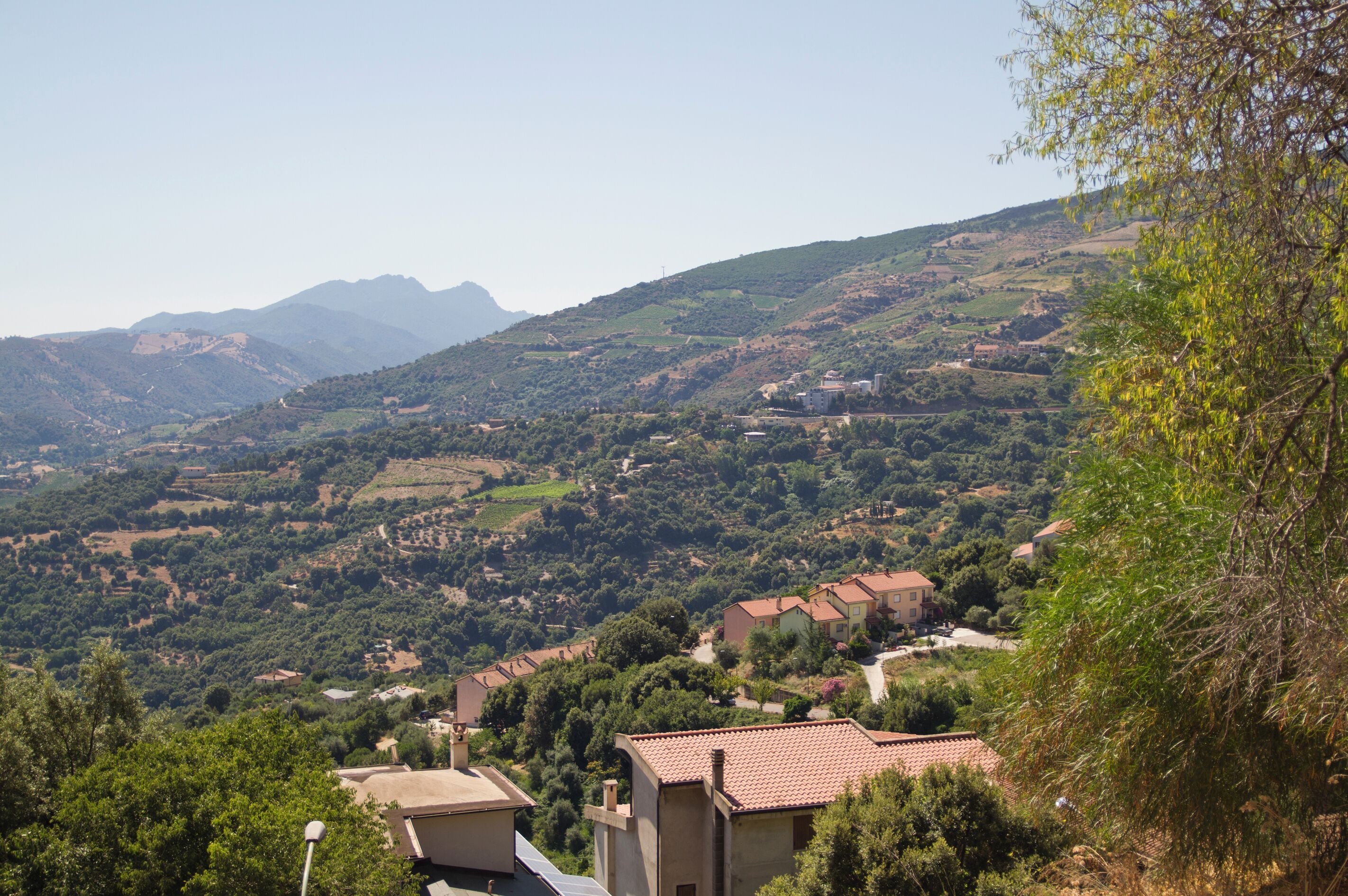Jerzu, Ogliastra, Sardinia, Italy