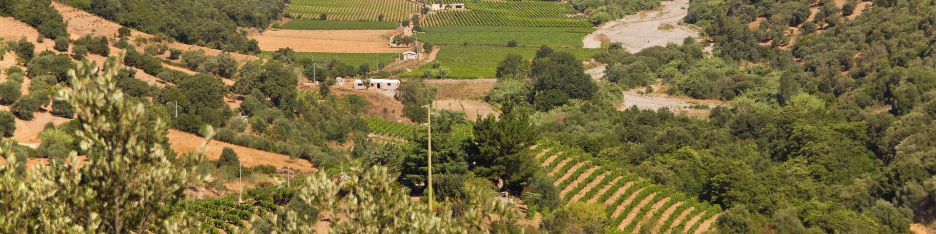 Jerzu, Ogliastra, Sardinia, Italy