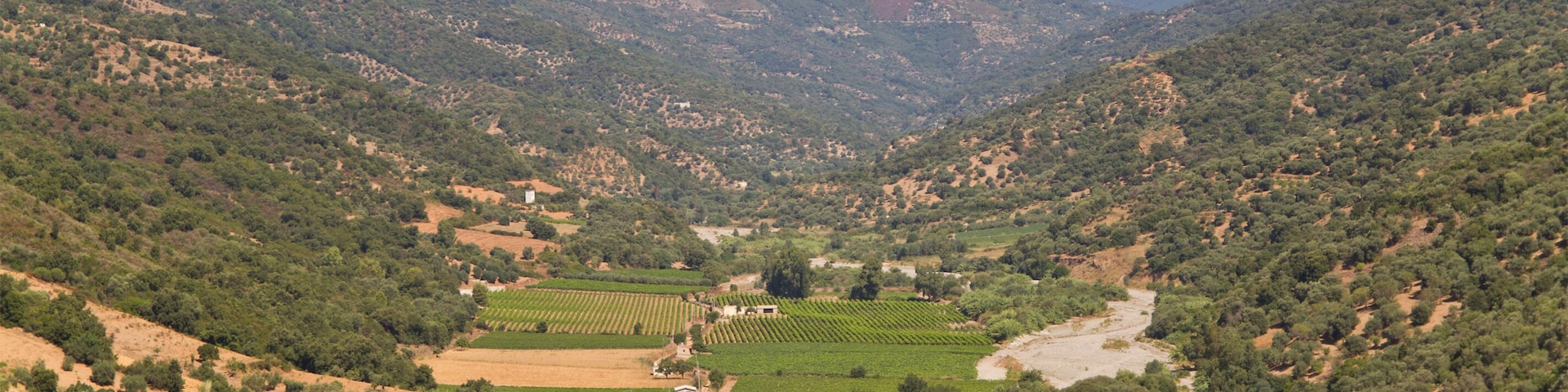 Jerzu, Ogliastra, Sardinia, Italy