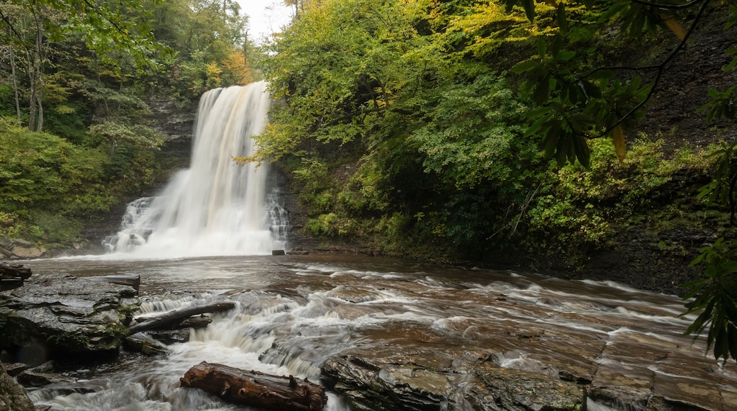 ํธ๋ธ๋ฃฉ