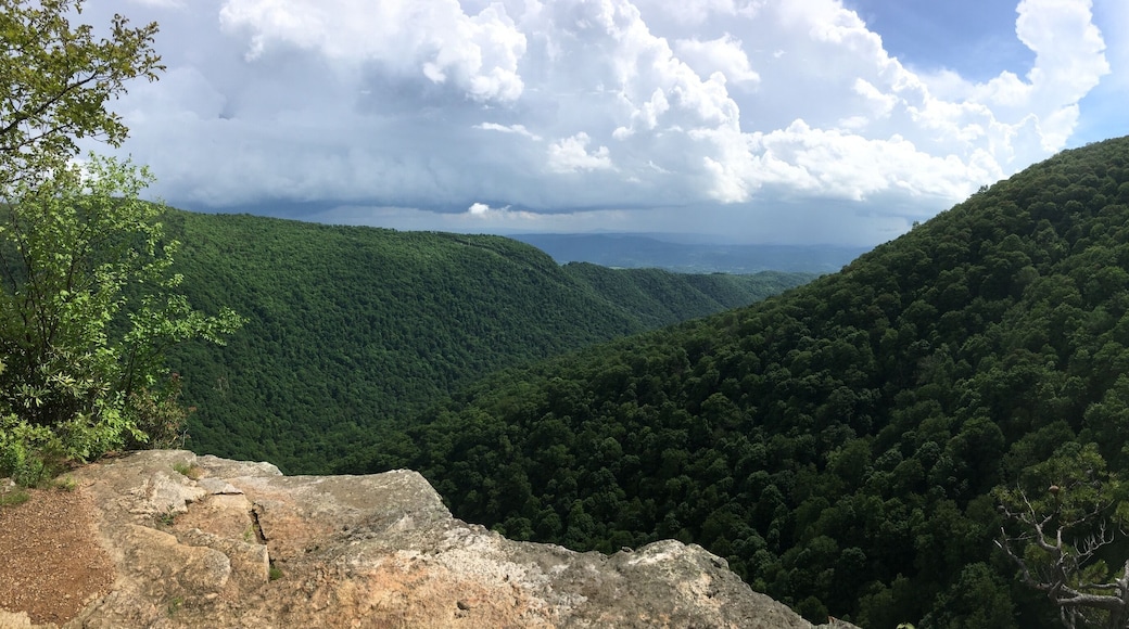 ํธ๋ธ๋ฃฉ